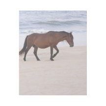 Nag sur la plage, Outer Banks Caroline du Nord