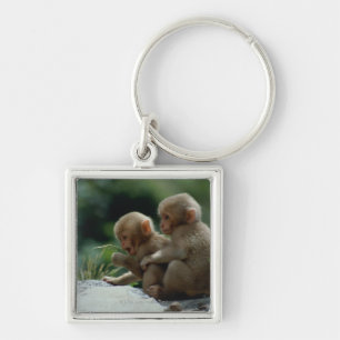 Nagano Prefecture, Japan Keychain
