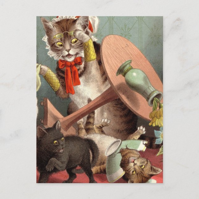 Naghty Cats postcard (Front)