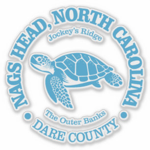 Nags Head (sea turtle)
