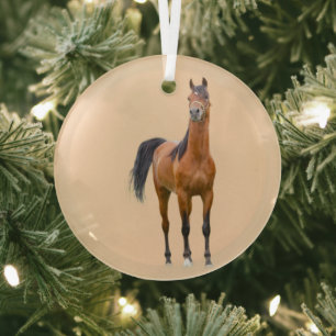 Nahgwa Glass Ornament
