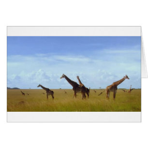 Nairobi National Park Giraffes