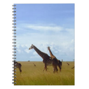 Nairobi National Park Giraffes Notebook