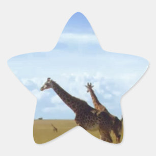 Nairobi National Park Giraffes Star Sticker