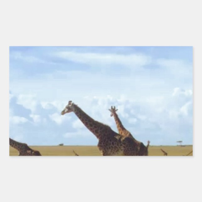 Nairobi National Park Giraffes Sticker (Front)