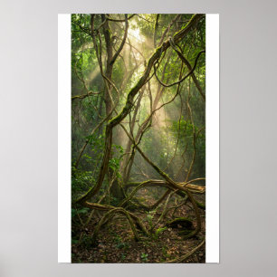 Namal Uyana Mystical Forest Golf Balls - Ironwood Poster