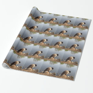 Namaste Goose bows head, Nature, Wildlife, Birds Wrapping Paper