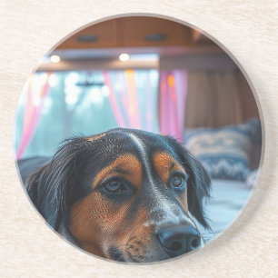 Name: Sleeping Dog Dreams Coaster