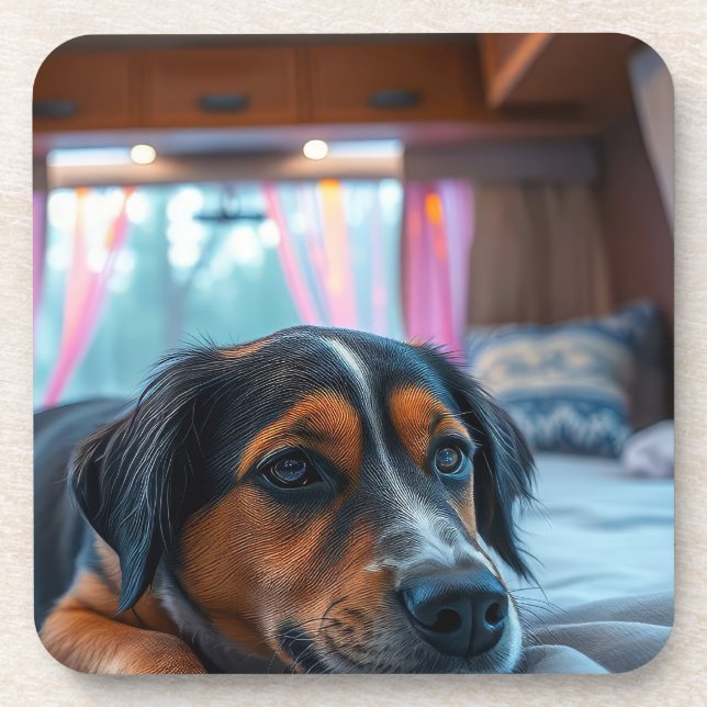 Name: Sleeping Dog Dreams Coaster (Front)