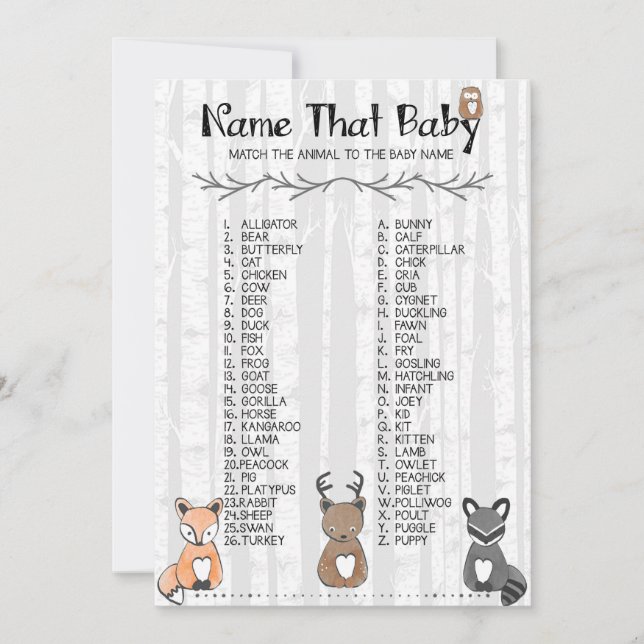 Name That Baby Game Invitation (Front)