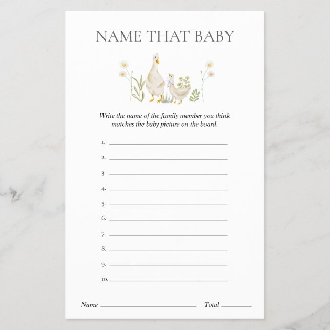 Name That Baby Silly Goose Baby Shower Game Flyer (Front)