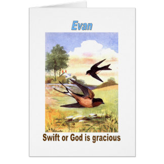 Names&Meanings - Evan