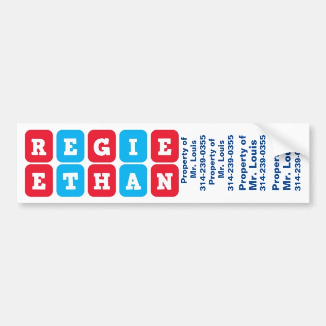 Names: Regie and Ethan nametag/sticker Bumper Sticker (Front)