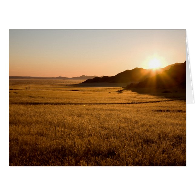 Namib Naukluft Park (Front Horizontal)