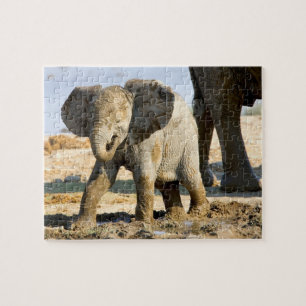 Namibia, Africa: Baby African Elephant Jigsaw Puzzle