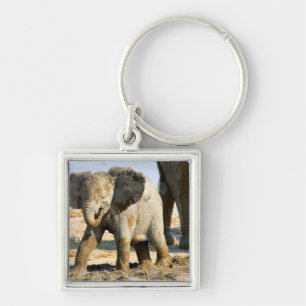 Namibia, Africa: Baby African Elephant Keychain
