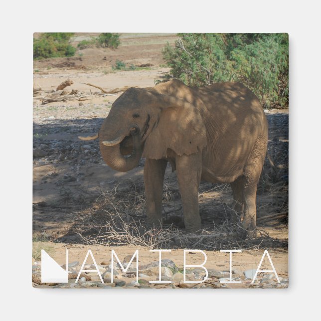 Namibia Africa Huab River Elephant Damaraland Magnet (Front)
