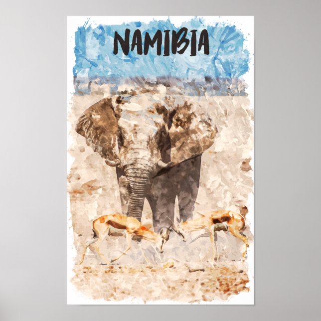 Namibia Africa Wildlife Safari Poster (Front)