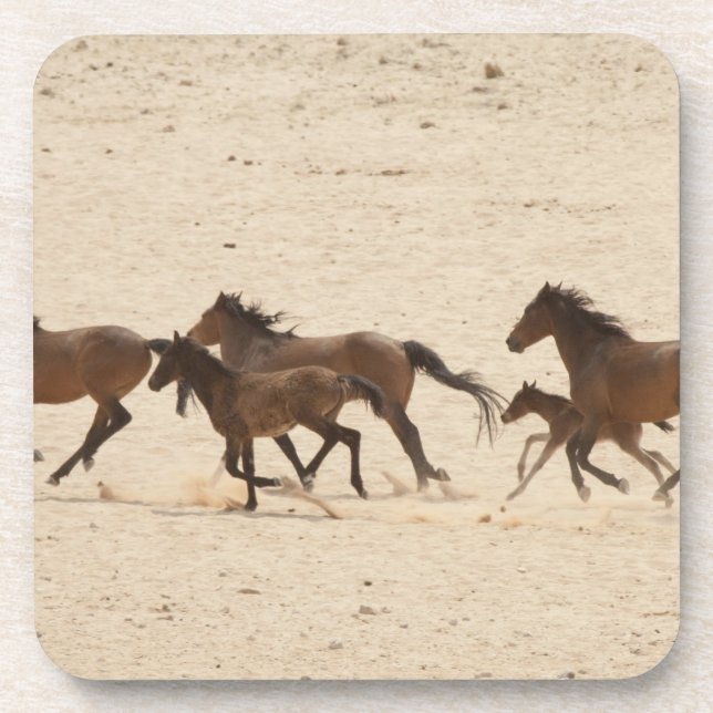 Namibia, Aus. Group of running wild horses on Coaster (Front)