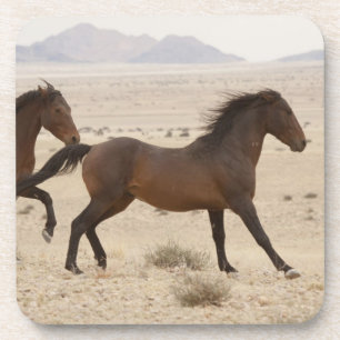 Namibia, Aus. Wild horses running on the Namib Coaster