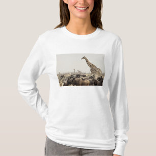 Namibia, Etosha National Park. A lone giraffe T-Shirt