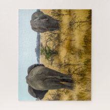 Namibia Jigsaw Puzzle - wild elephants in grass