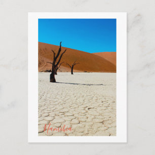 Namibia Sand Dunes Landscape Sossusvlei Postcard