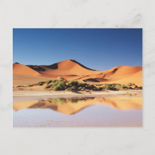 Namibia, Sossusvlei Region, Sand Dunes at desert Postcard