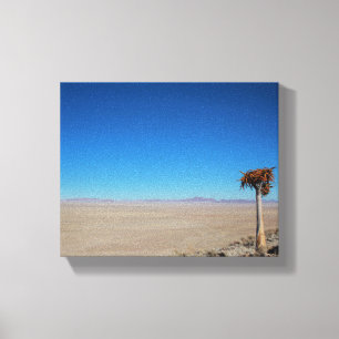 Namibia Tirool Namib Desert Landscape Kokerboom Canvas Print