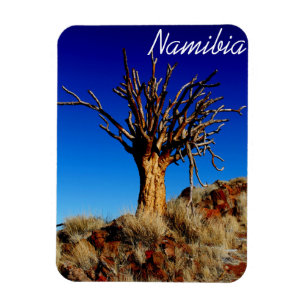Namibia Tirool Namib Desert Landscape Kokerboom Magnet