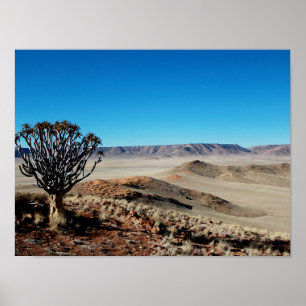 Namibia Tirool Namib Desert Landscape Kokerboom Poster