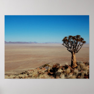 Namibia Tirool Namib Desert Landscape Kokerboom Poster