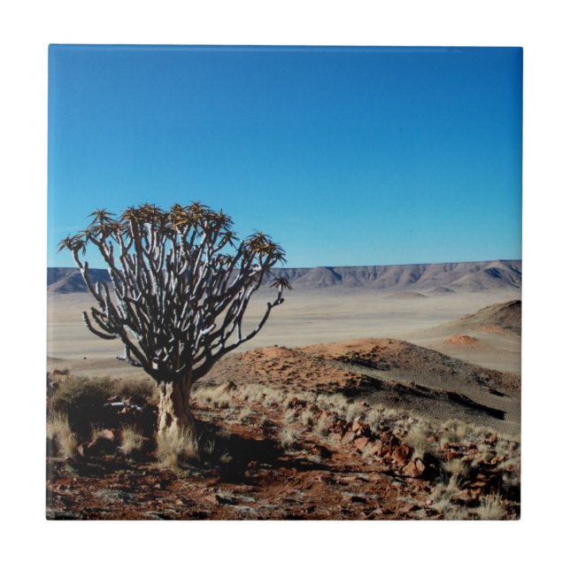 Namibia Tirool Namib Desert Landscape Kokerboom Tile (Front)