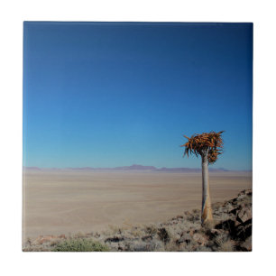 Namibia Tirool Namib Desert Landscape Kokerboom Tile