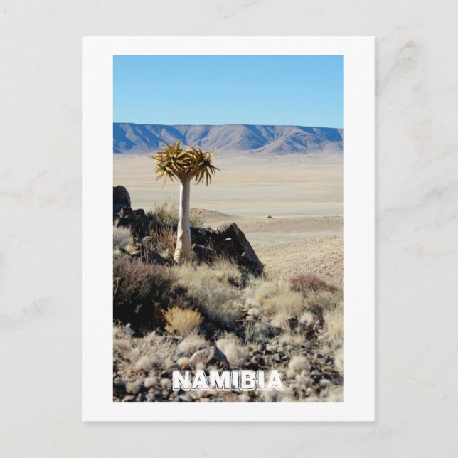 Namibia Tirool Namib Desert Landscape Nature Postcard (Front)
