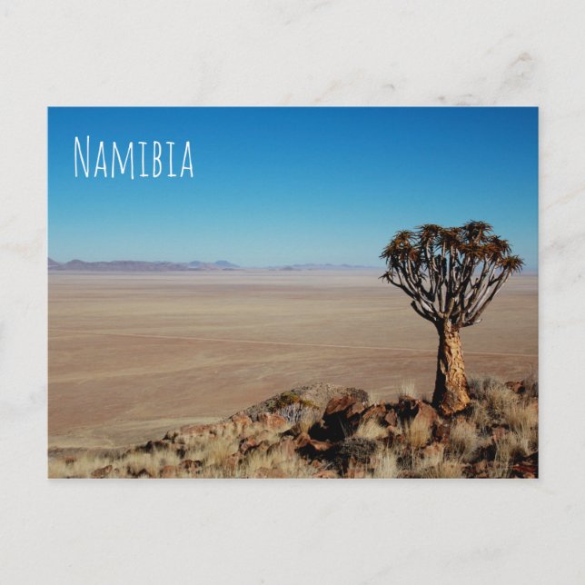 Namibia Tirool Namib Desert Landscape Nature Postcard (Front)