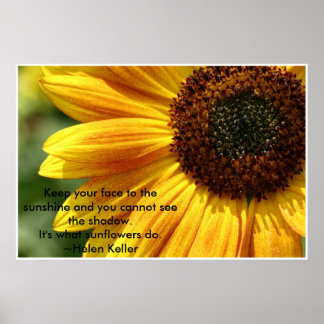 Nancys_sunflower Poster