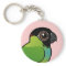 Nanday Conure