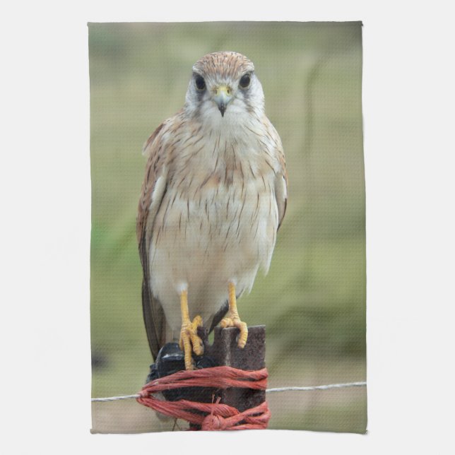 Nankeen Kestrel Kitchen Towel (Vertical)