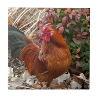 Nankin Bantam Chicken Tile