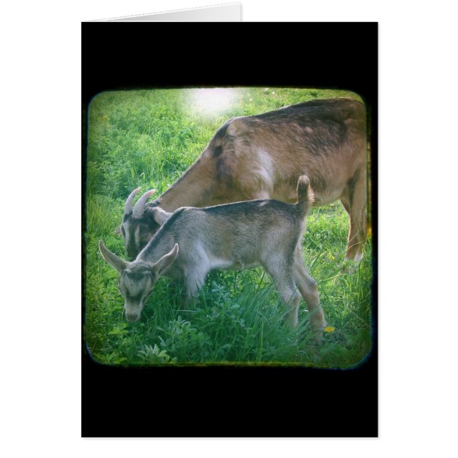 Nanny et KId (Devant)