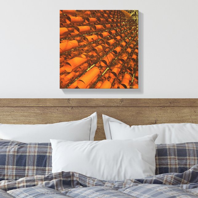 Nano Tubes and Gossamer Filaments Canvas Print (Insitu(Bedroom))