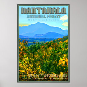 Nantahala National Forest New Original Travel Poster