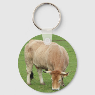 Nantaise cow in a field keychain