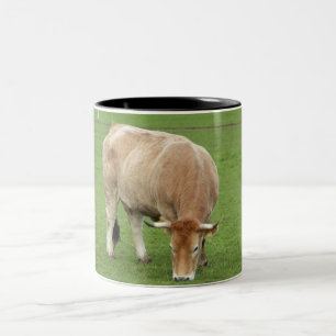 Nantaise cow in a field Two-Tone coffee mug