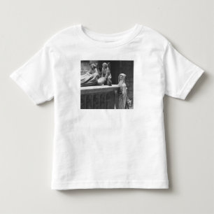 Nantes, St. Peter and St. Paul Cathedral Toddler T-shirt