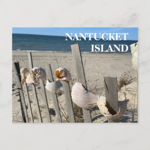 Nantucket Beach Coques sur une carte postale de cl