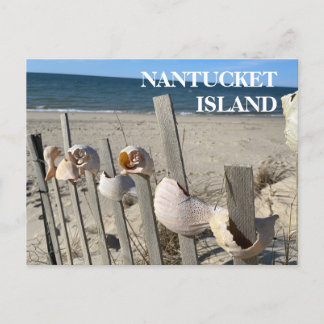 Nantucket Beach Shells on a Fence Postcard