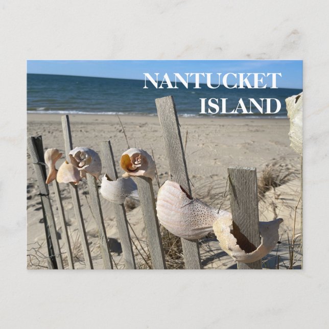 Nantucket Beach Shells on a Fence Postcard (Front)
