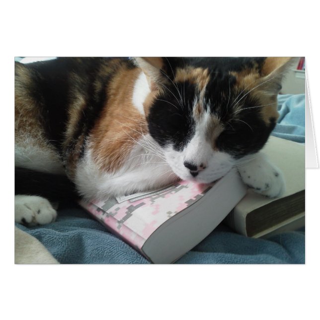 nap (Devant Horizontal)